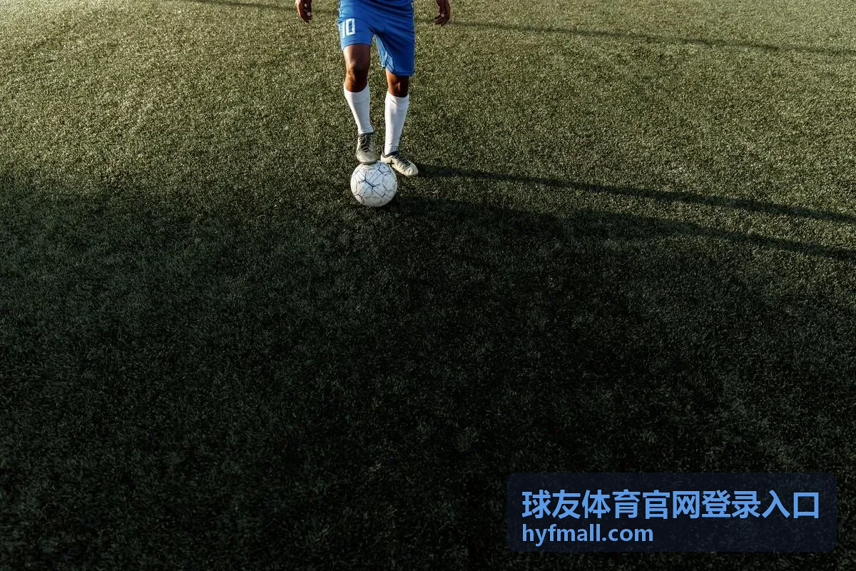 球友体育官网登录入口账号安全设置示意