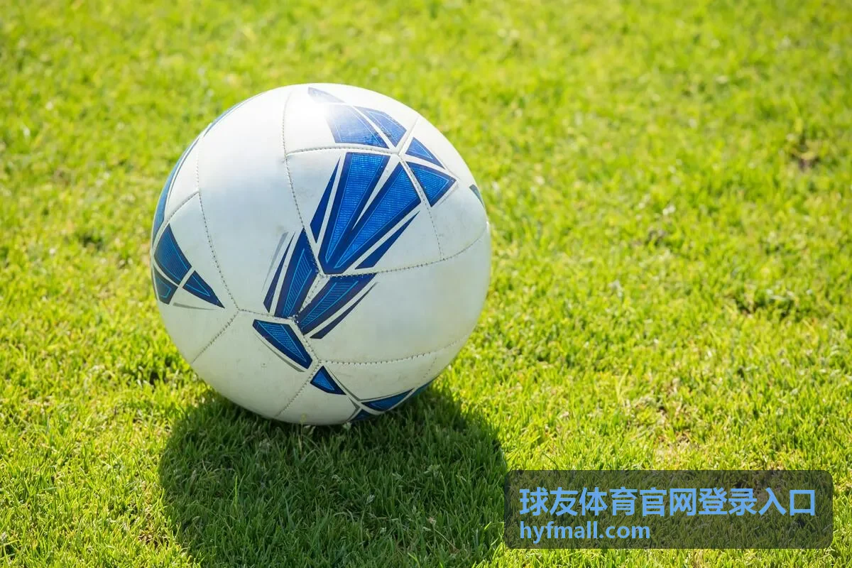 球友体育官网登录入口账号安全设置与登录设备核对界面